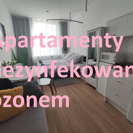Apartament Elblag Goodenergy - Stare Miasto, Oldtown, Altstadt المظهر الخارجي الصورة